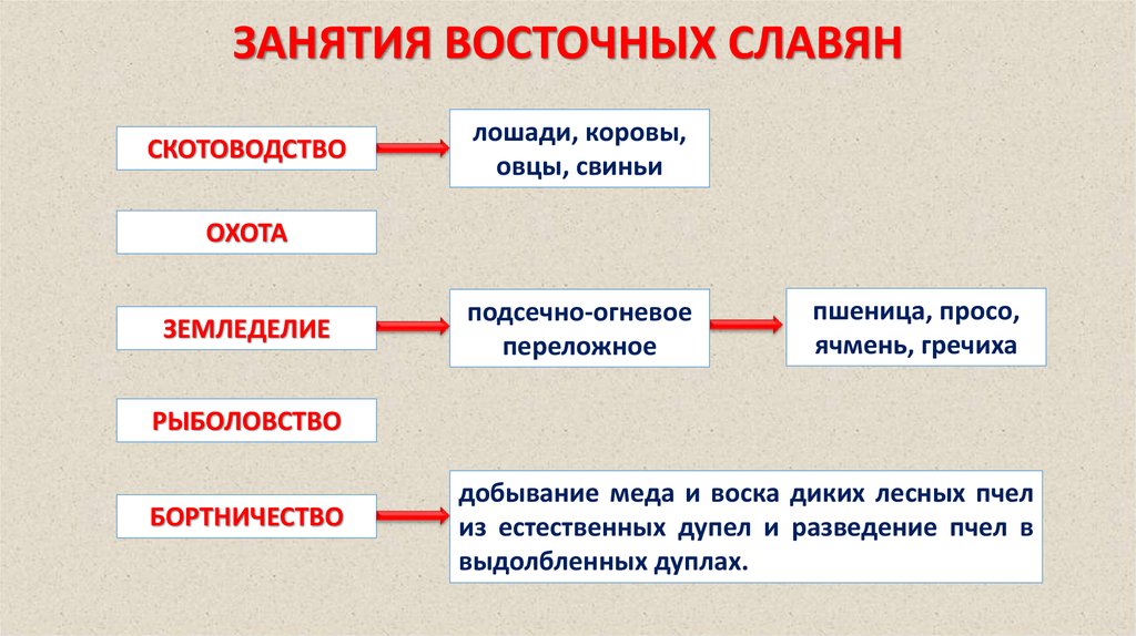 О далеких предках славянах и родовом строе презентация 6 класс 8 вида