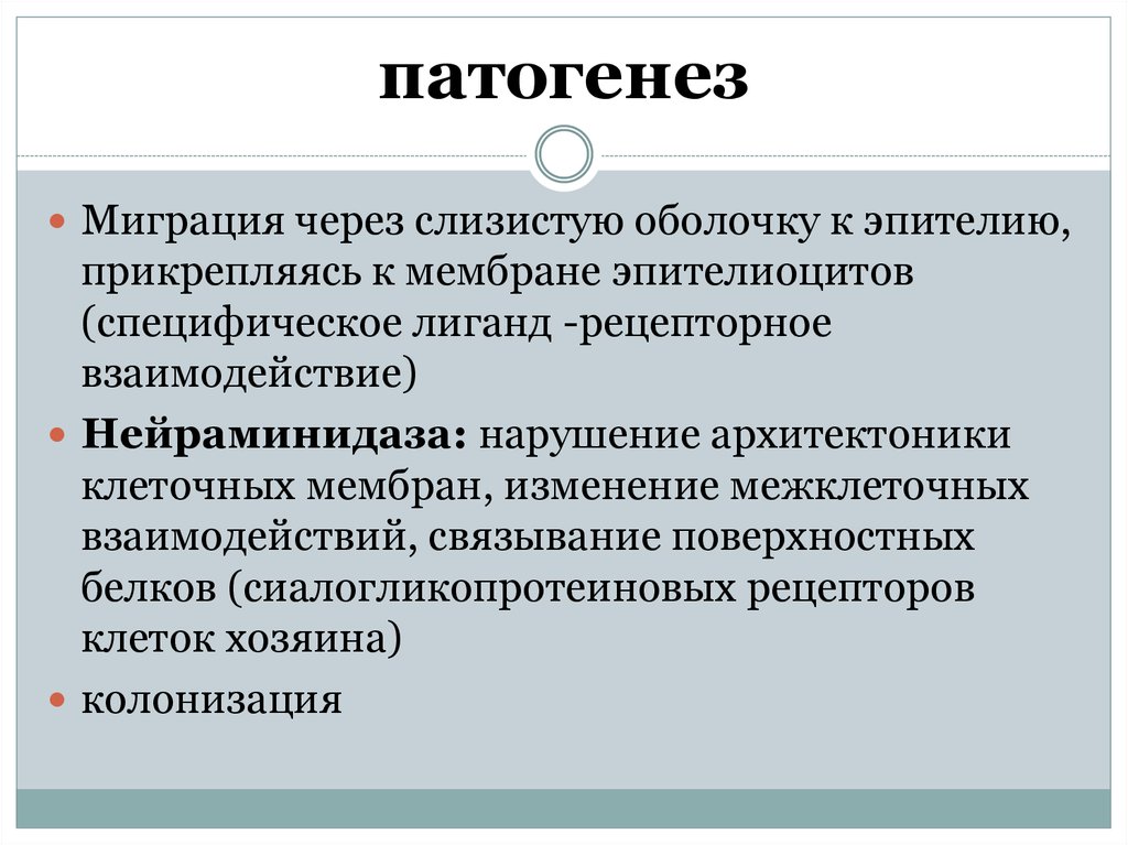 Микоплазменная этиология. Урогенитальный микоплазмоз патогенез. Микоплазмоз патогенез. Респираторный микоплазмоз патогенез. Патогенез урогенитального микоплазмоза.