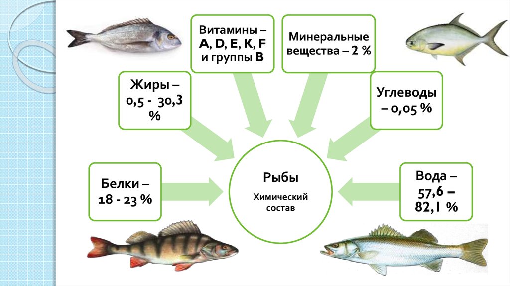 Рыба состав белки