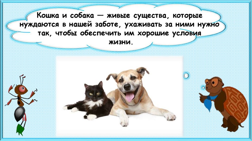 Про кошек и собак окружающий мир 2 класс плешаков школа россии презентация