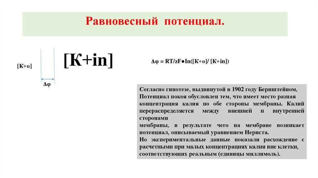 Согласно гипотезе. Возникновение потенциала покоя гипотеза Бернштейна. Уравнение Бернштейна для мембранного потенциала покоя. Модель Бернштейна потенциал покоя. Физиологическое значение импульсов.