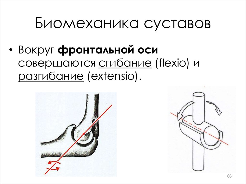 Двигается колено