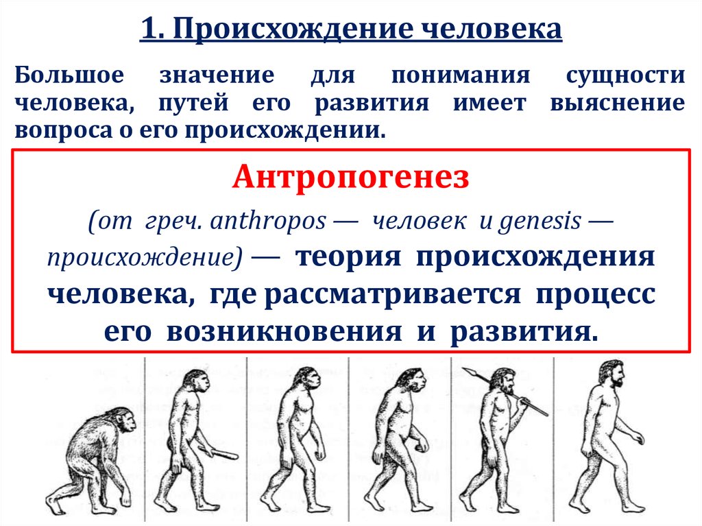 Эволюционное происхождение человека презентация 9 класс пономарева. Происхождение человека. Происхождение и Эволюция человека. Историческое развитие человека. Возникновение человека.
