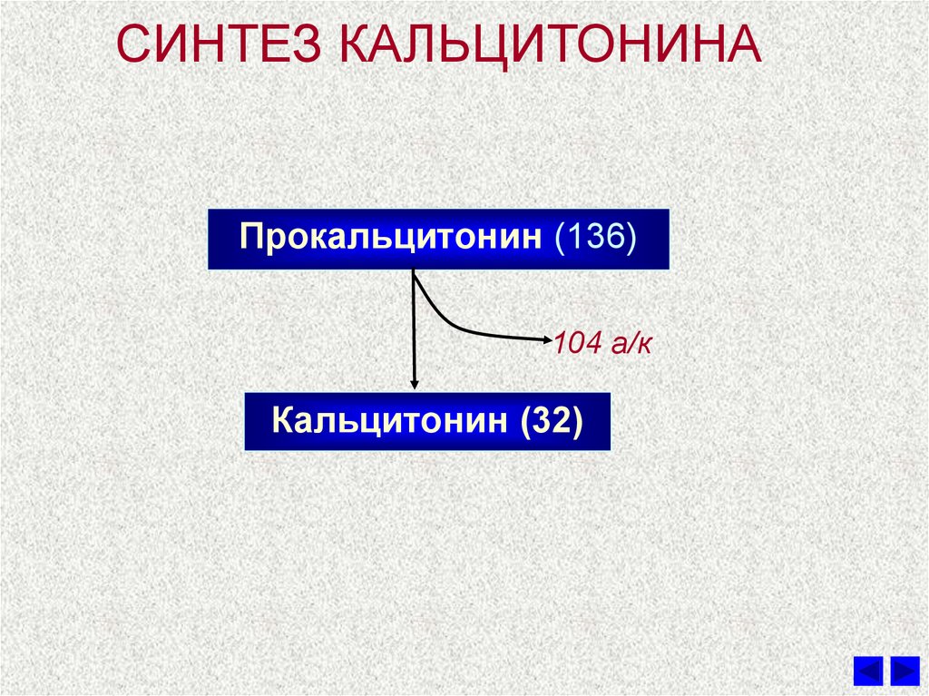 Механизм действия кальцитонина схема