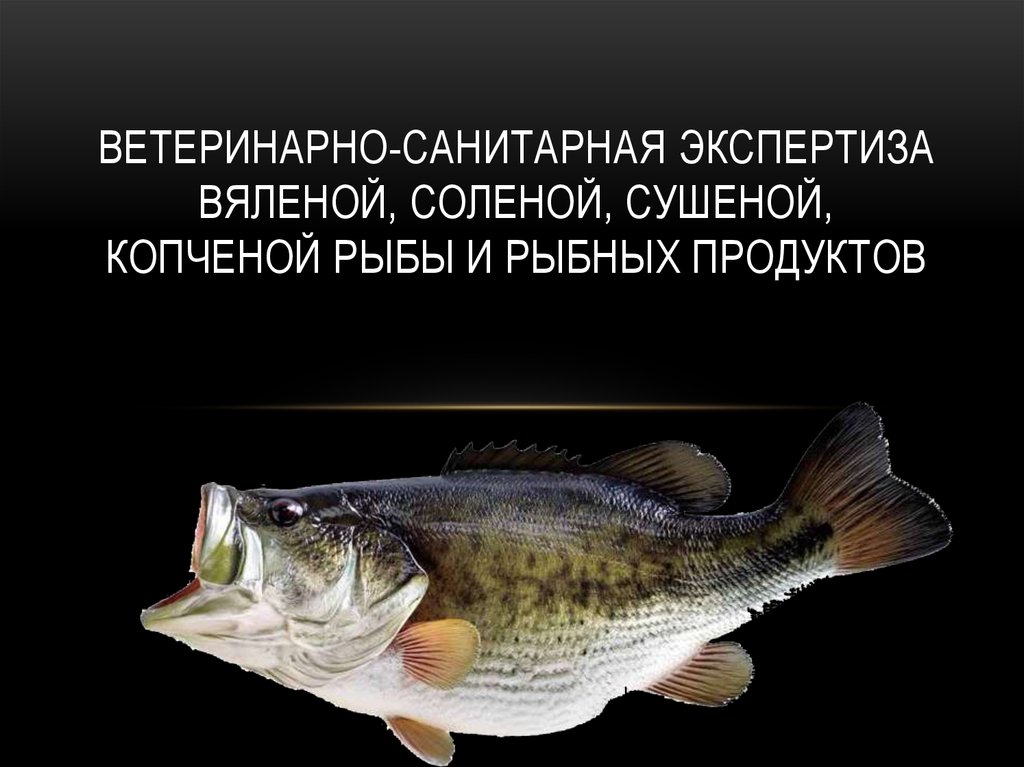 Оценка качества рыбы. Ветеринарно-санитарная экспертиза рыбы. Гигиеническая экспертиза рыбы. Ветеринарная экспертиза рыбы.