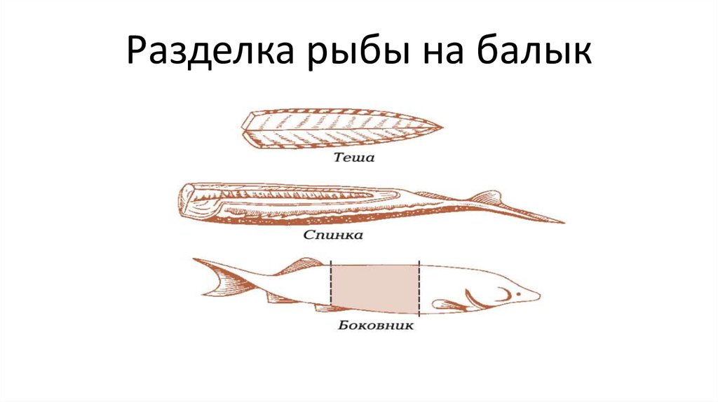 Разделка рыбы картинки