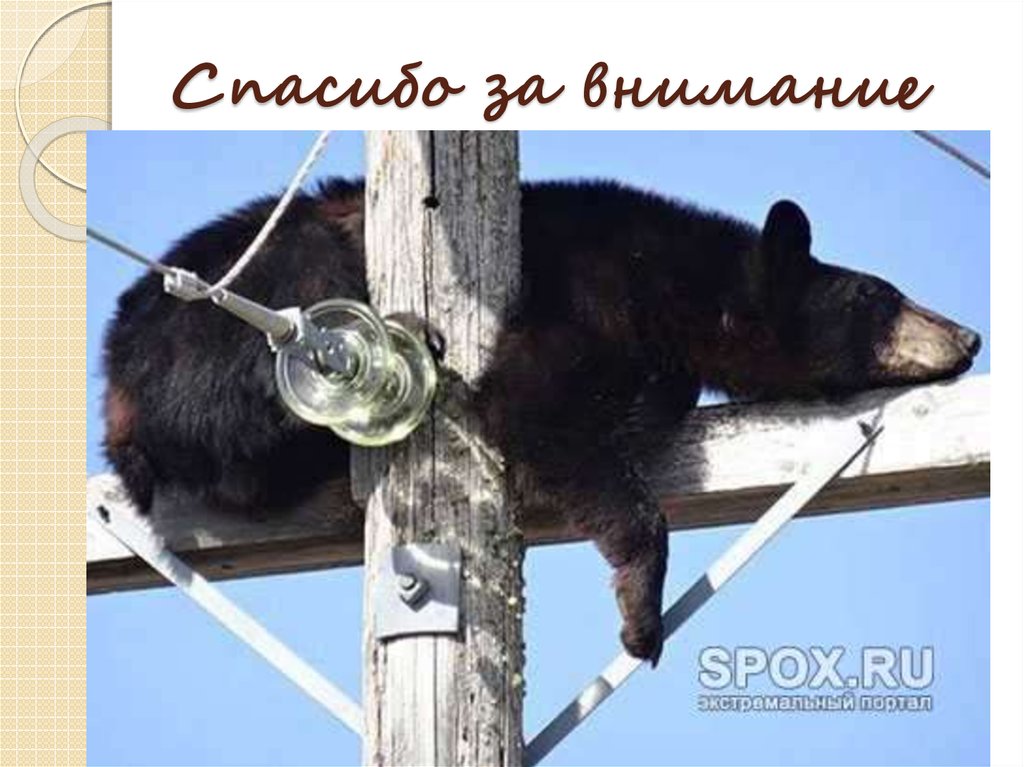 Спасибо за внимание