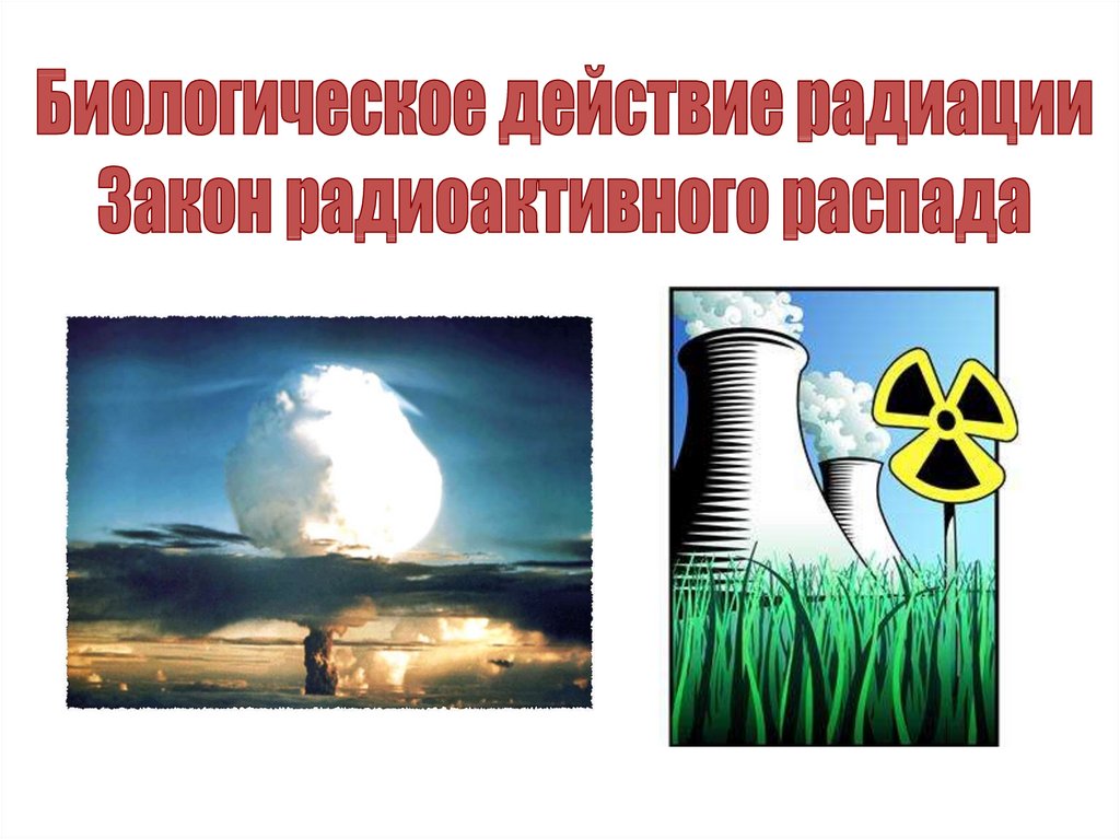 Действие радиации презентация. Биологическое действие радиации закон радиоактивного распада. Биологическое действие радиации. Темы презентаций по радиации. Биологическое действие радиации закон радиоактивного распадf.