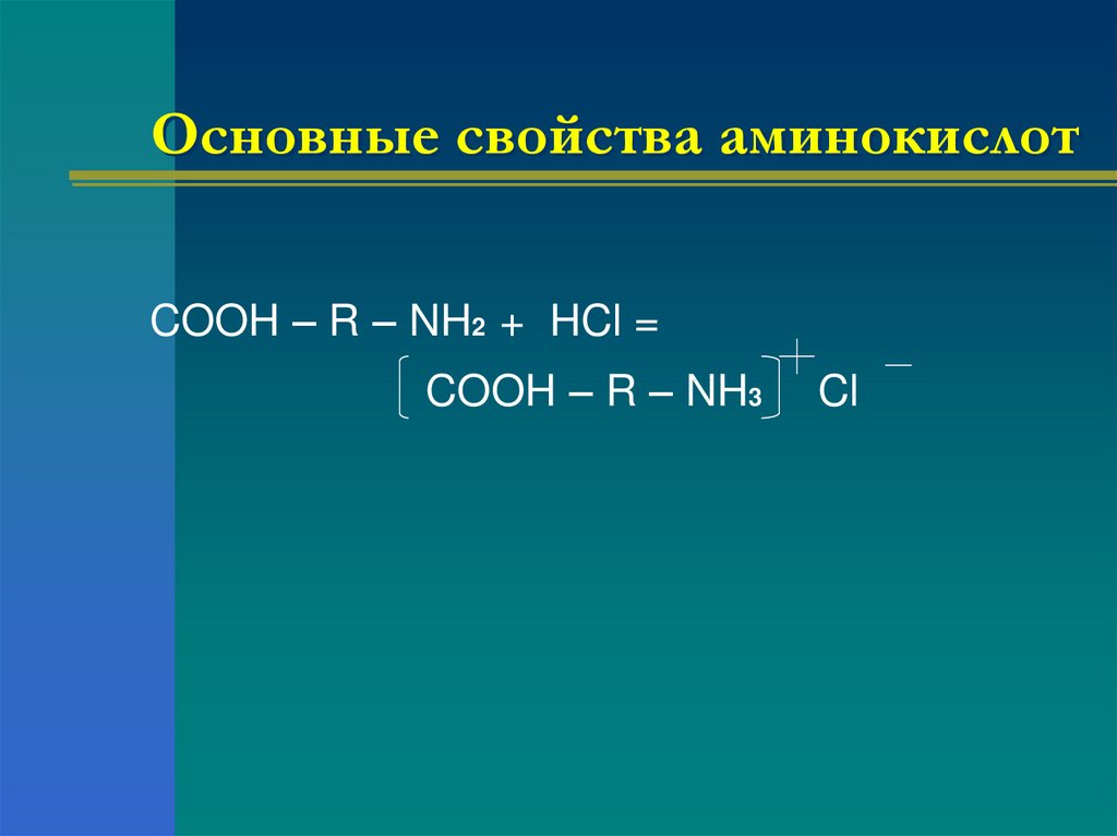 Hcl характеристика. Основные свойства аминокислот. Общие свойства аминокислот. Химические свойства аминокислот. Основные свойства Аминов.