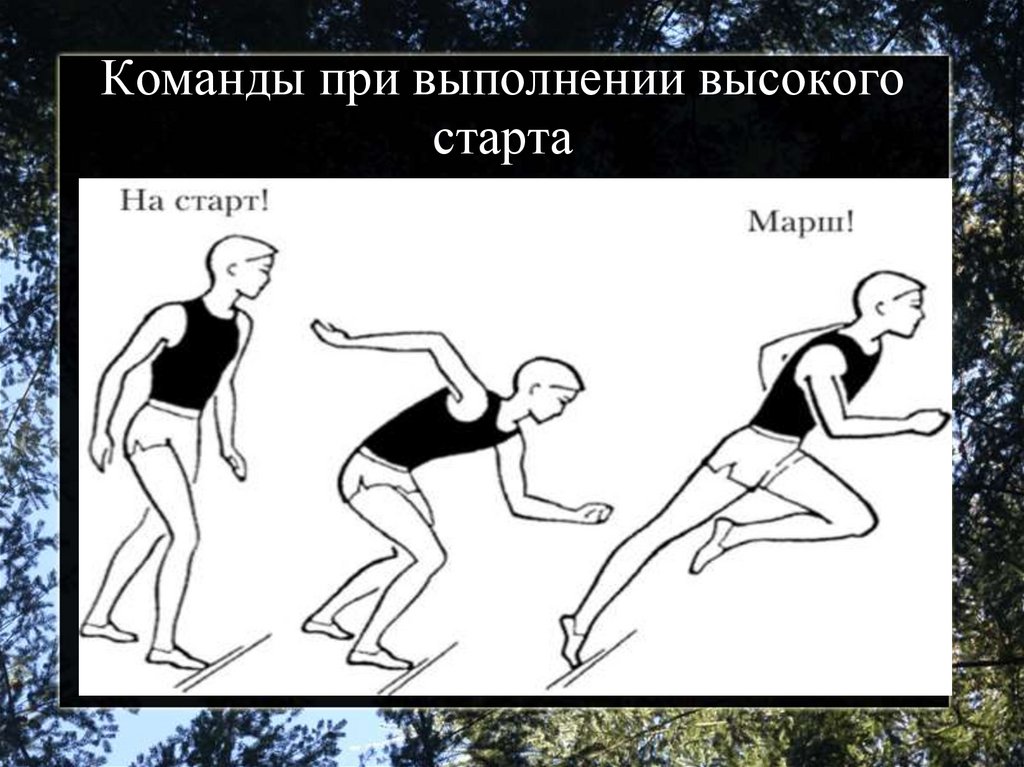 Высокий старт рисунок