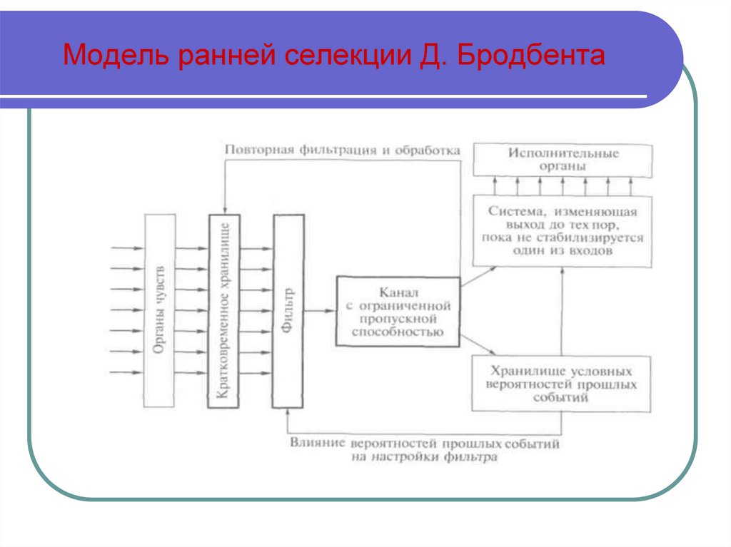 Блок схема внимания как ранней селекции информации