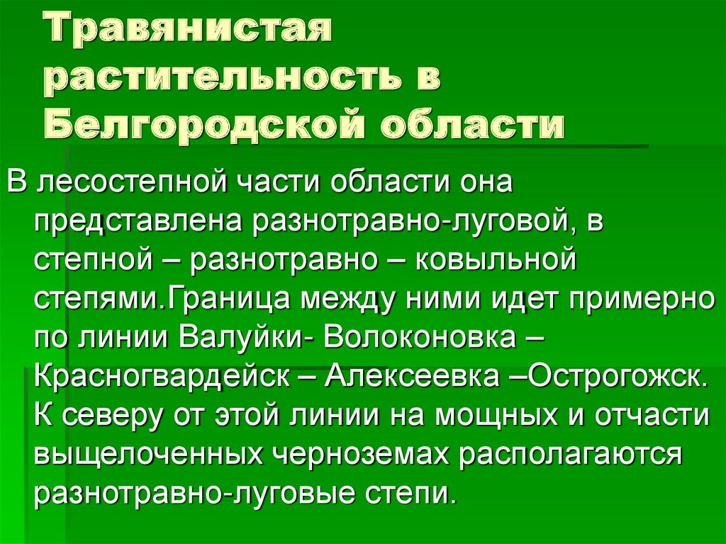 Ярусность презентация 6 класс