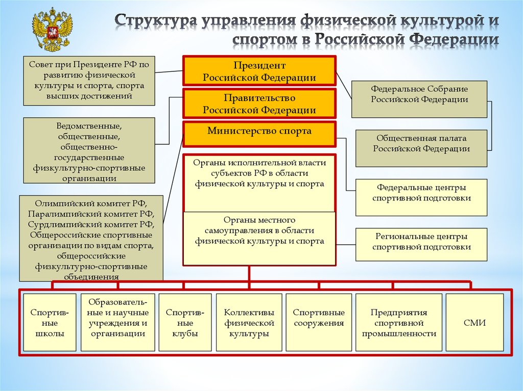 Структура управления физической культурой и спортом в Российской Федерации