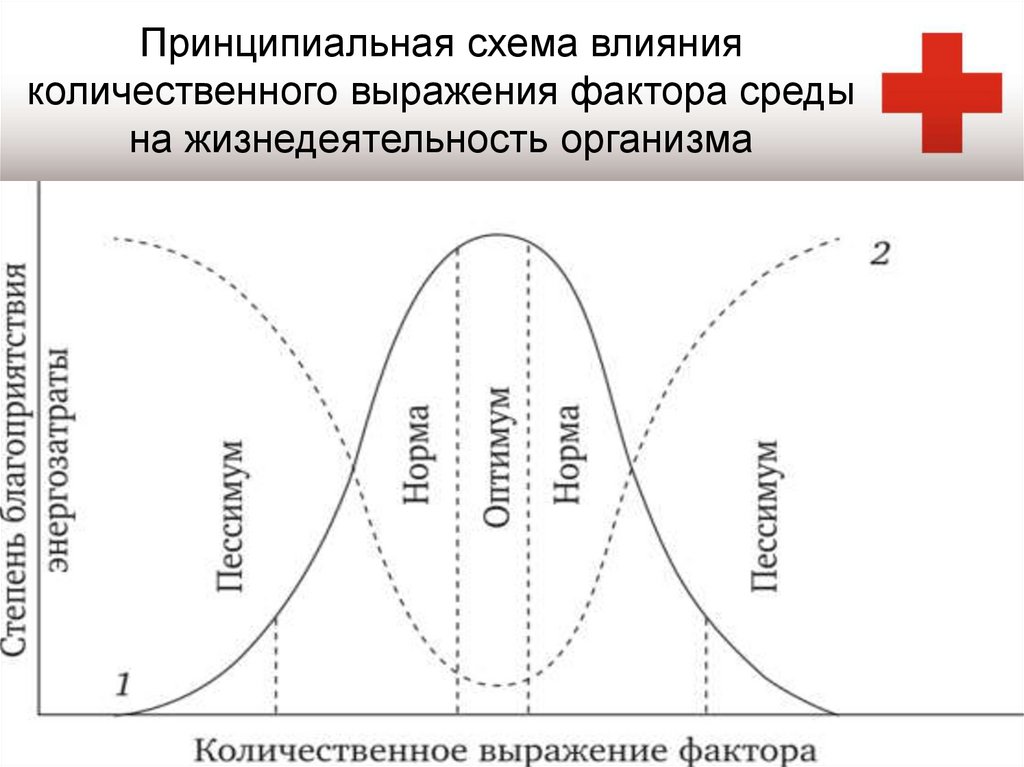 Схема действия фактора среды на организмы