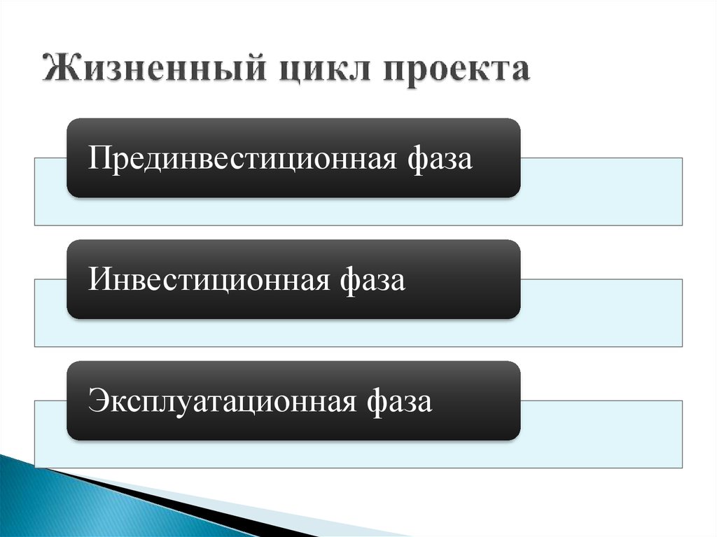 Прединвестиционная фаза жизненного цикла проекта включает