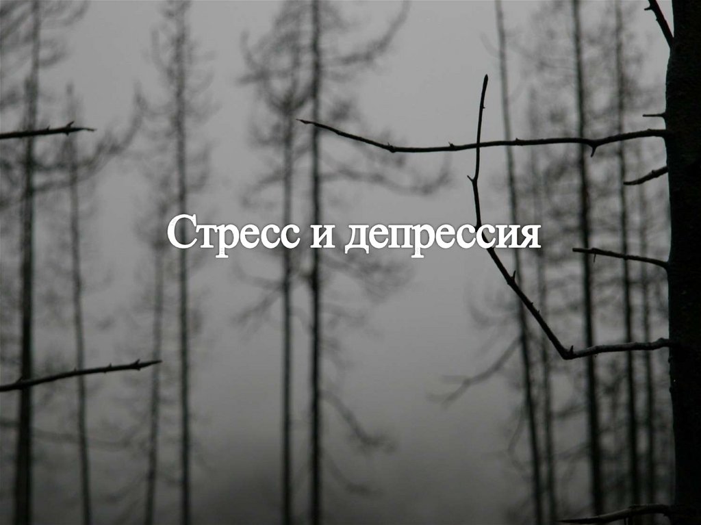 Делайте паузы в словах. Тлен. Безысходность. Тлен и безысходность. Безысходность цитаты.