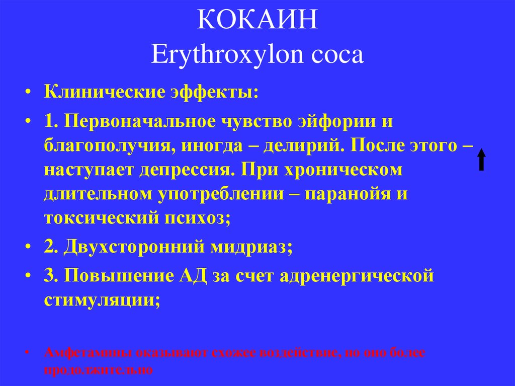 КОКАИН Erythroxylon coca