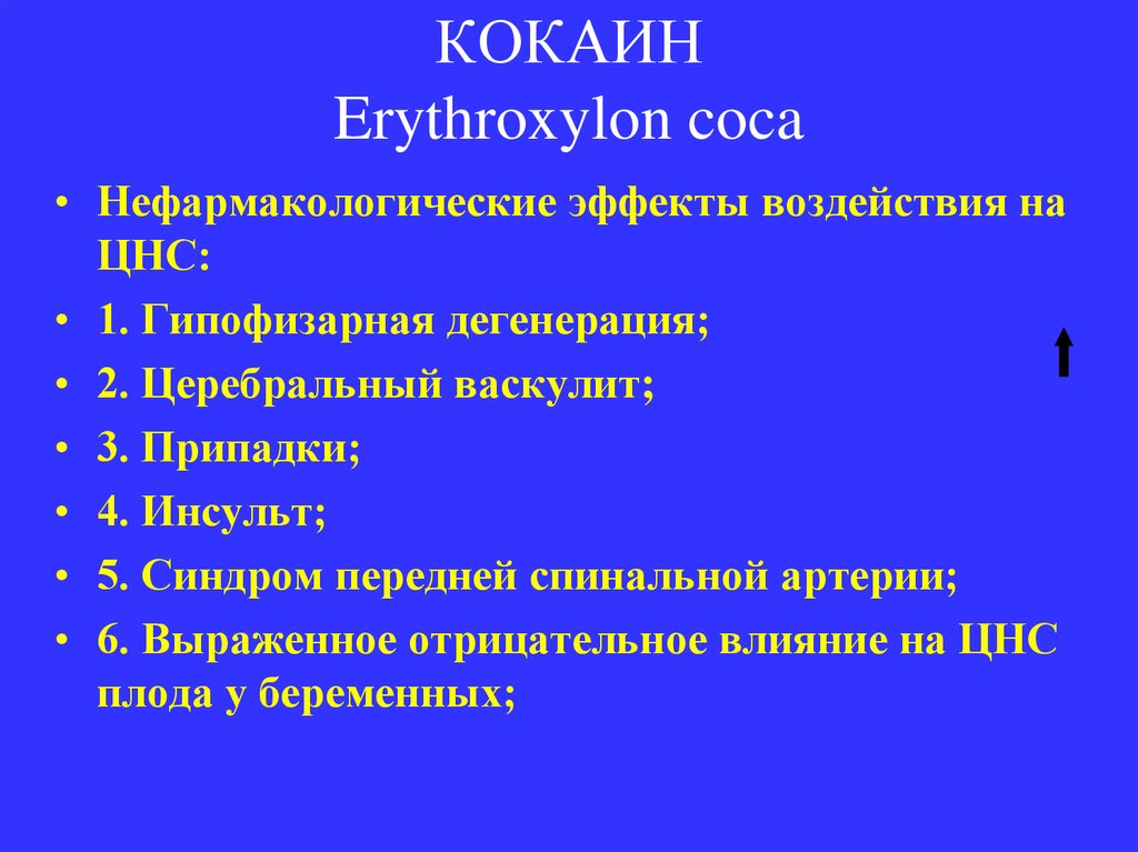 КОКАИН Erythroxylon coca