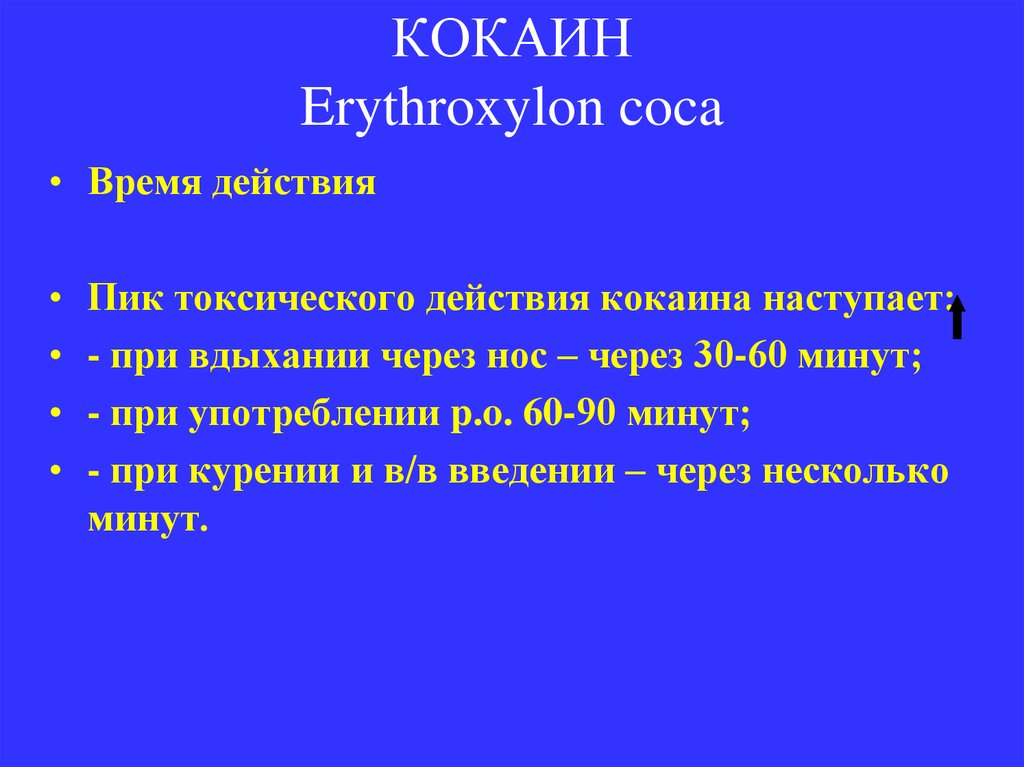 КОКАИН Erythroxylon coca