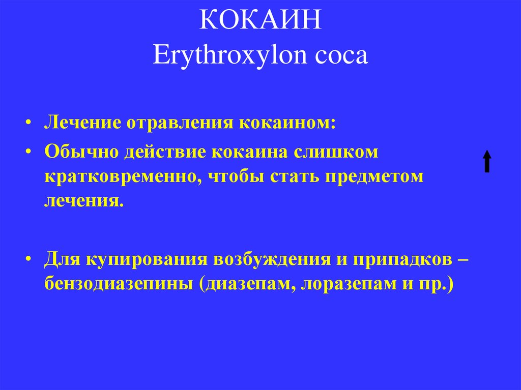 КОКАИН Erythroxylon coca