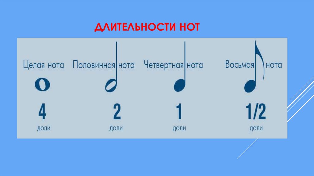 Длительность звука. Длительности нот. Длительности нот в Музыке. Ноты Длительность нот. Целая Нота Длительность.