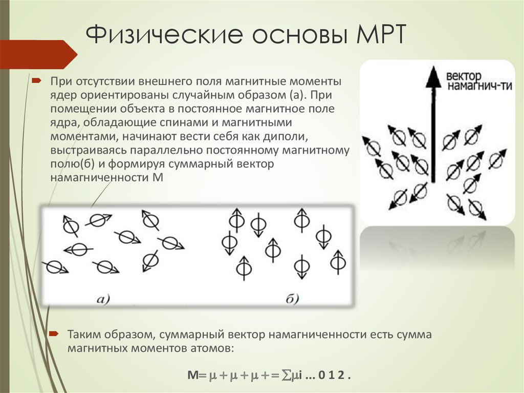 Физические основы мрт презентация