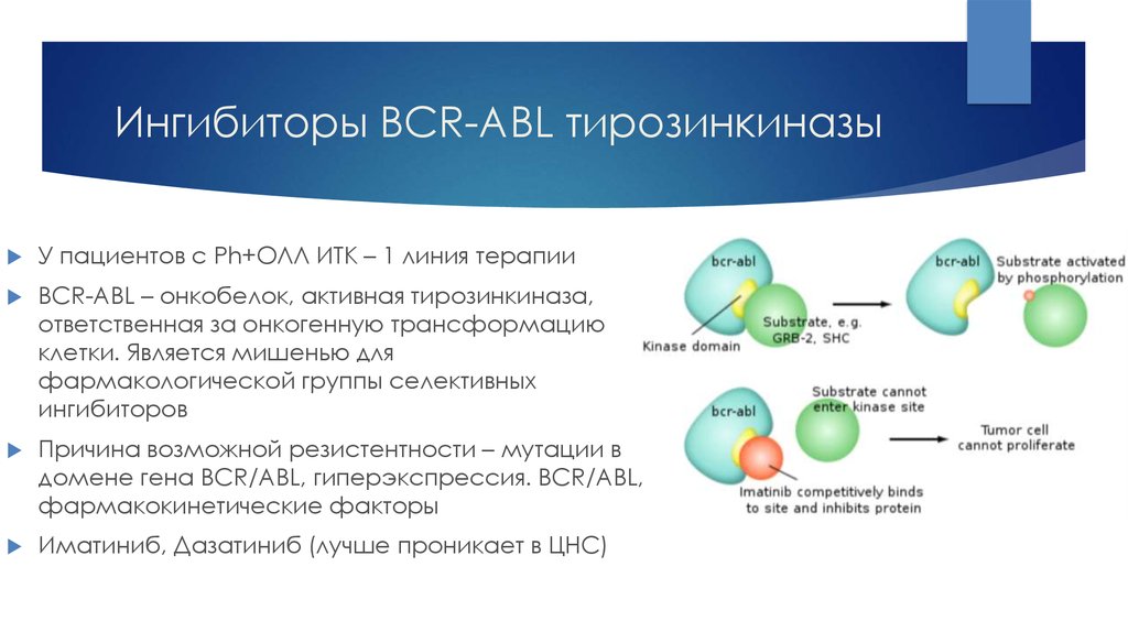 Острый лимфобластный лейкоз презентация