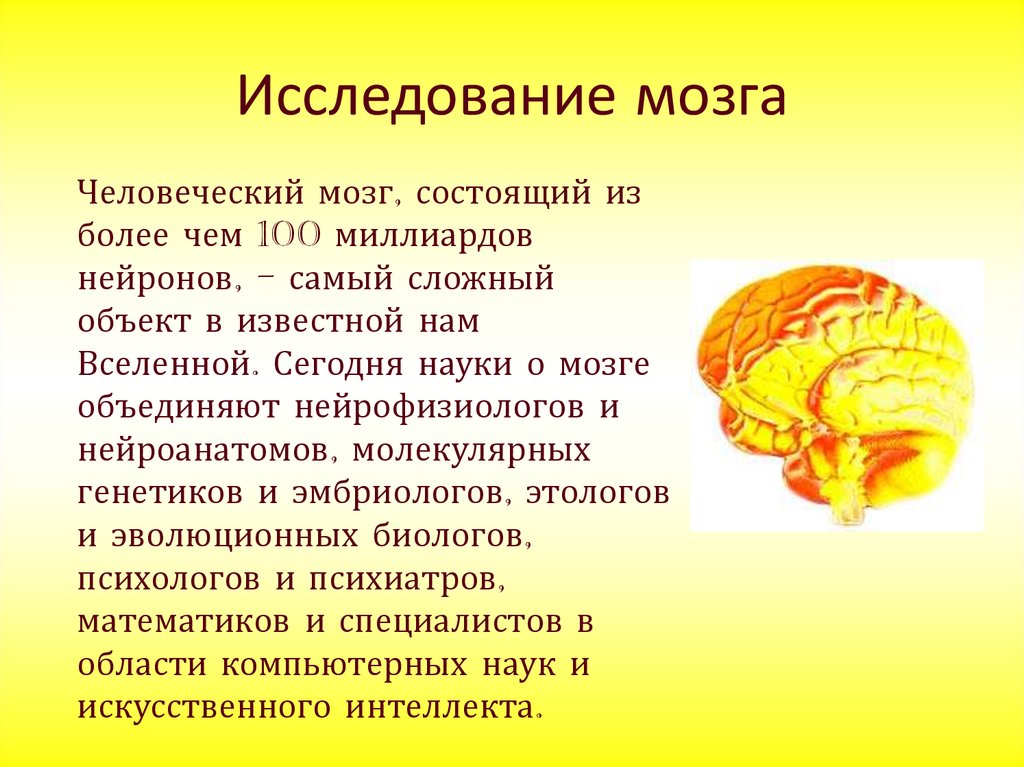 Головной мозг презентация