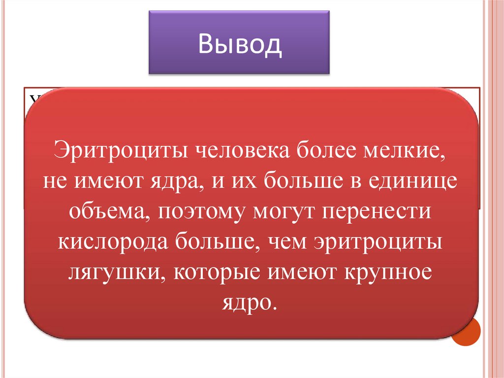 И другой более мелкой. Вывод эритроциты человека. Вывод эритроциты человека и лягушки. Эритроциты человека более мелкие. Эритроцит человека количество в единице.