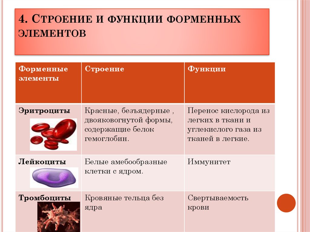 Элементы составляющие кровь