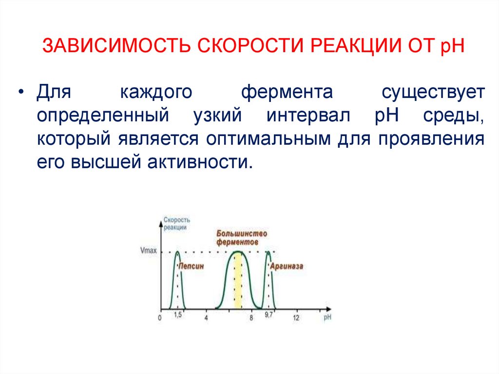 Активность фермента зависит от. Зависимость скорости ферментативной реакции от PH среды.