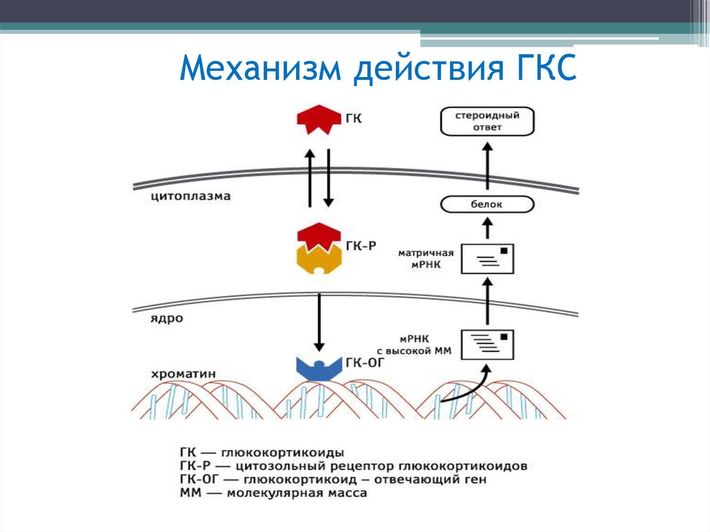 Отмена гкс