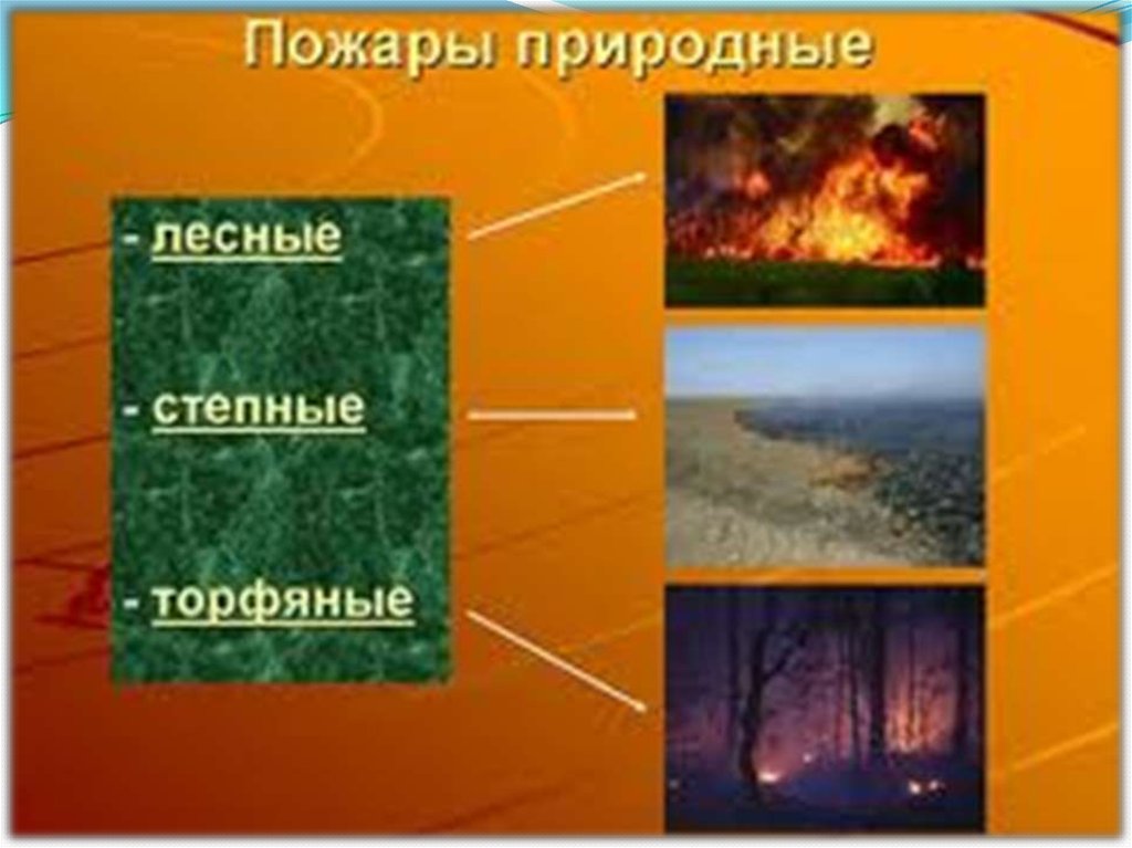 Природный пожар определение. Природные пожары ЧС. Лесные и степные пожары. Природные пожары Лесной и Степной. Лесные степные и торфяные пожары.