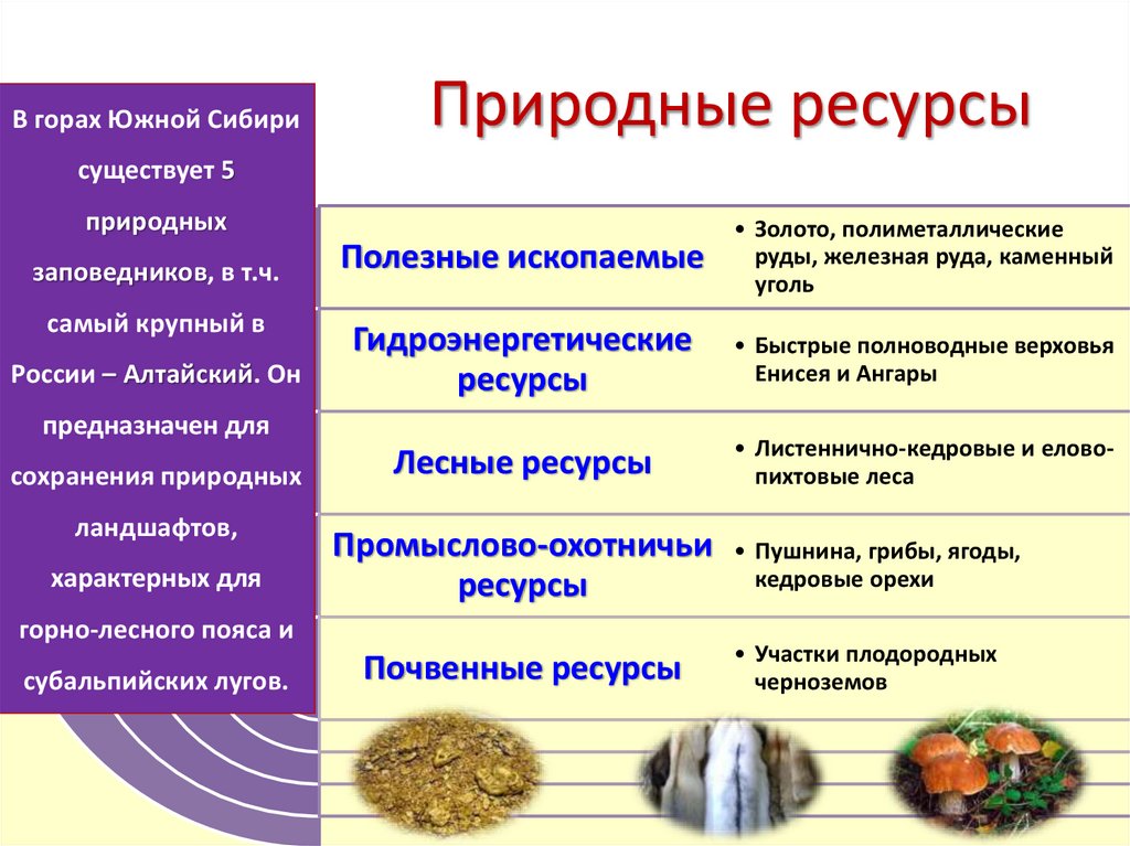 Природные ресурсы гор южной сибири