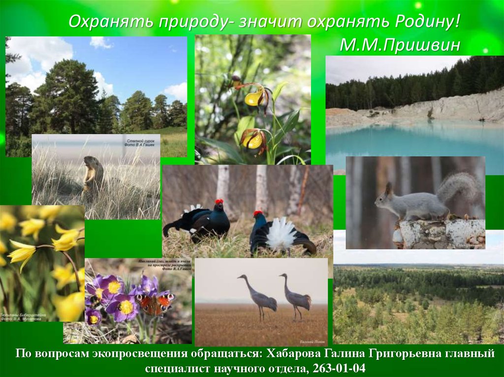 Охраняемые природные территории челябинской области