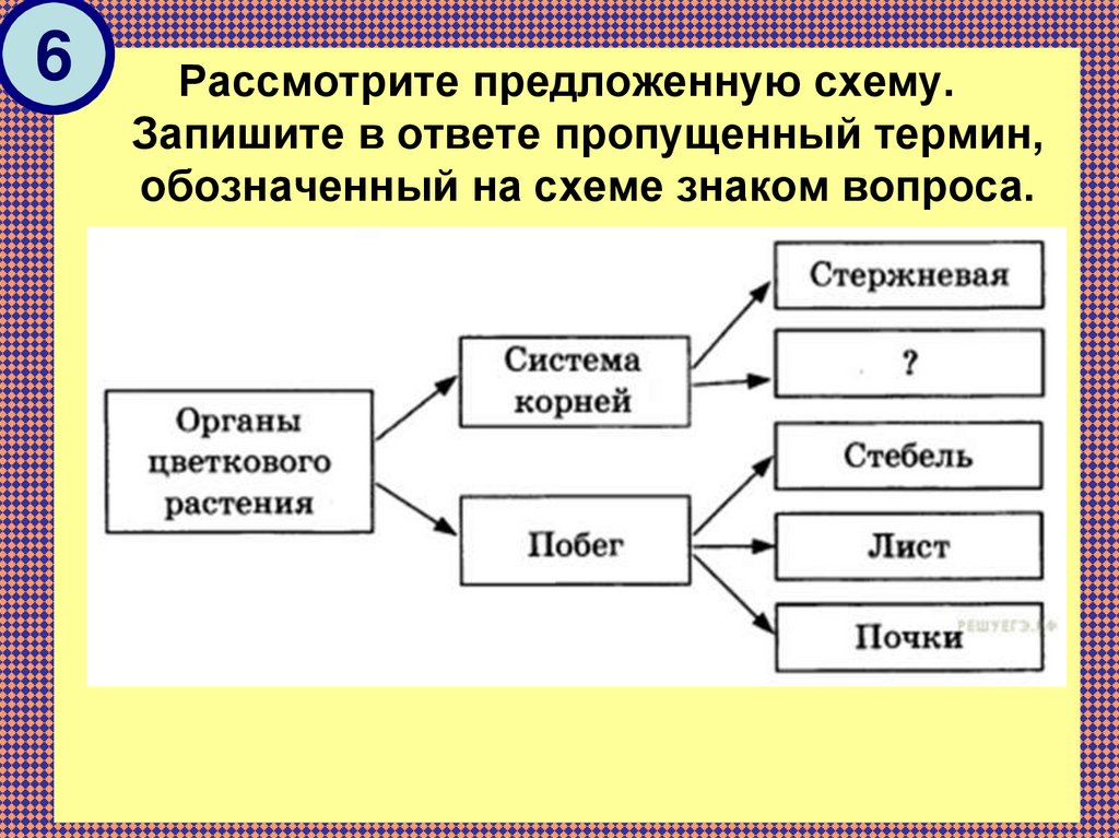 Практическая работа схематическое изображение составляющих проекта