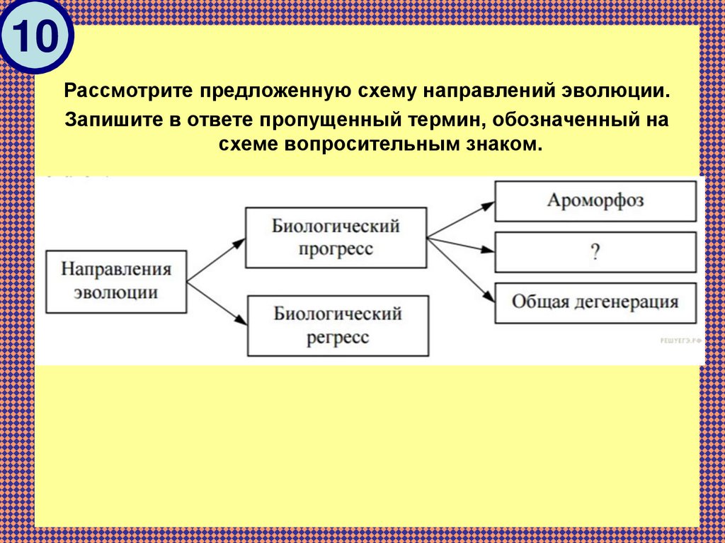 Рассмотрите схему запишите в ответе пропущенный термин