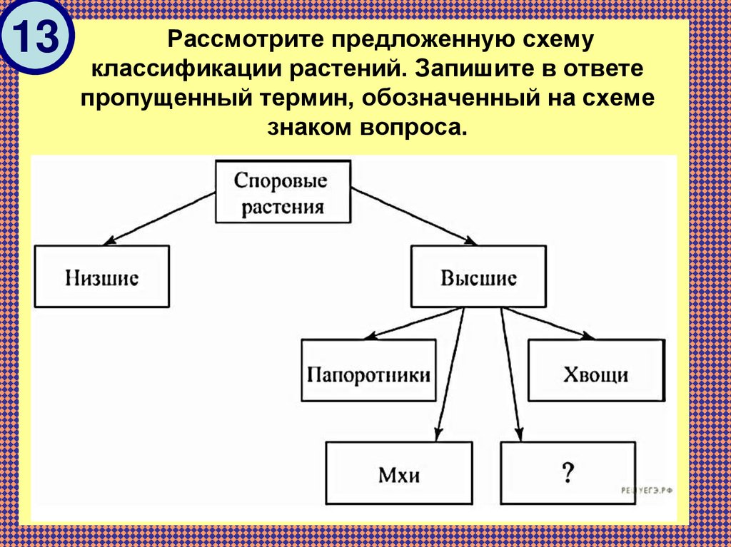 Представьте элементный состав формы государства в виде схемы задание 2