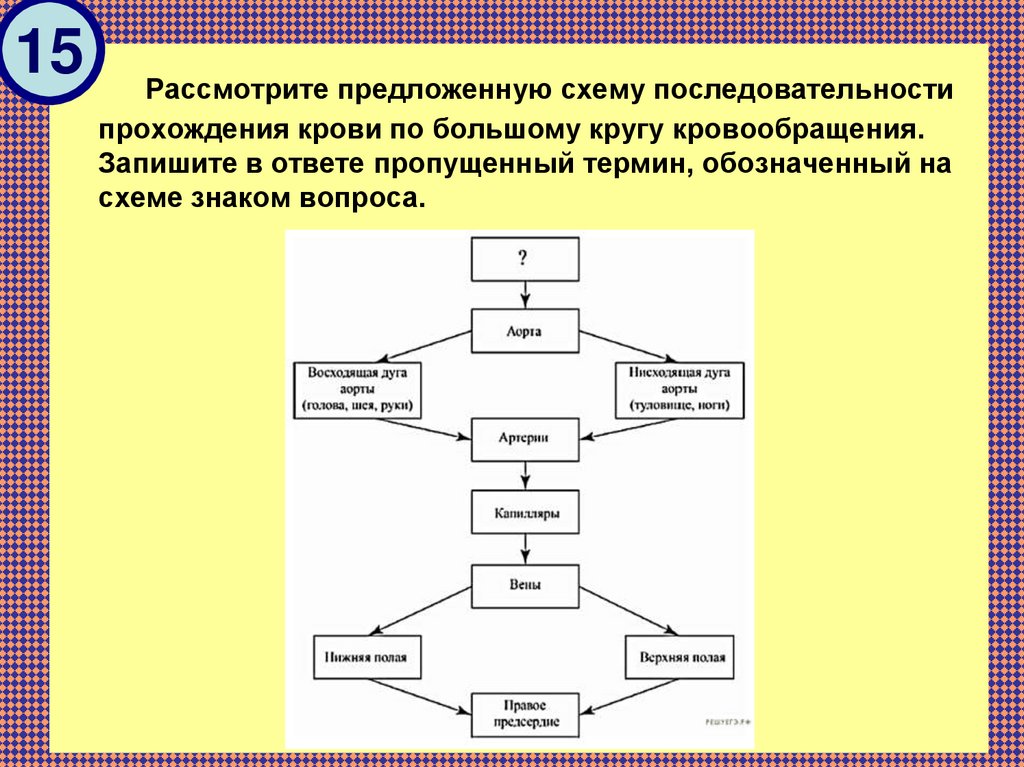 Рассмотрите схему запишите в ответе пропущенный термин