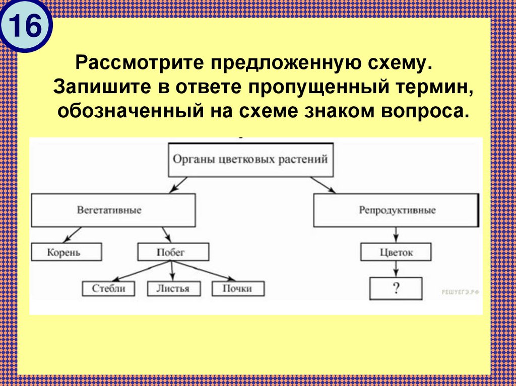 Задание схема