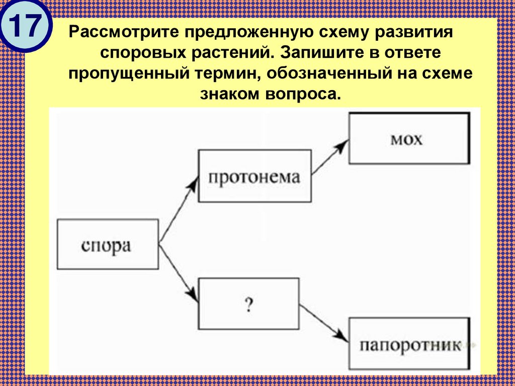 По предложенной схеме