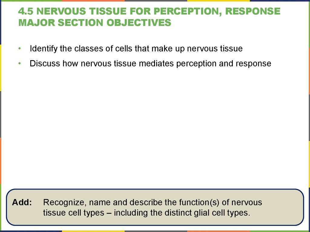 4.5 nervous tissue for perception, response Major section Objectives