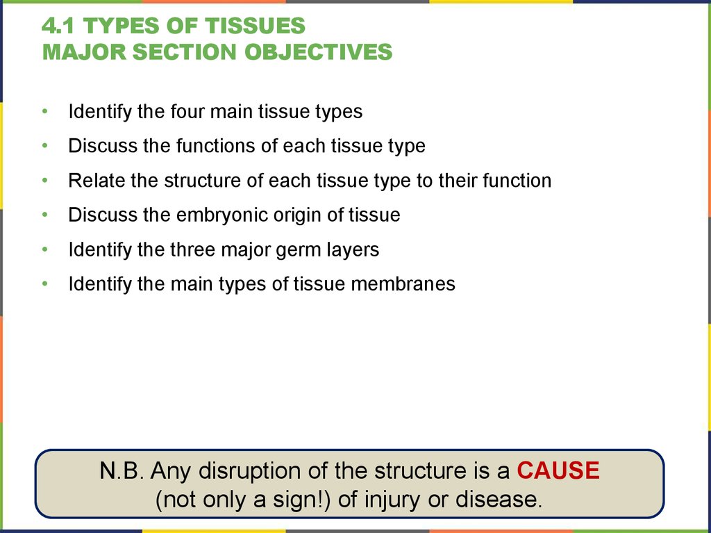 4.1 types of tissues Major section Objectives