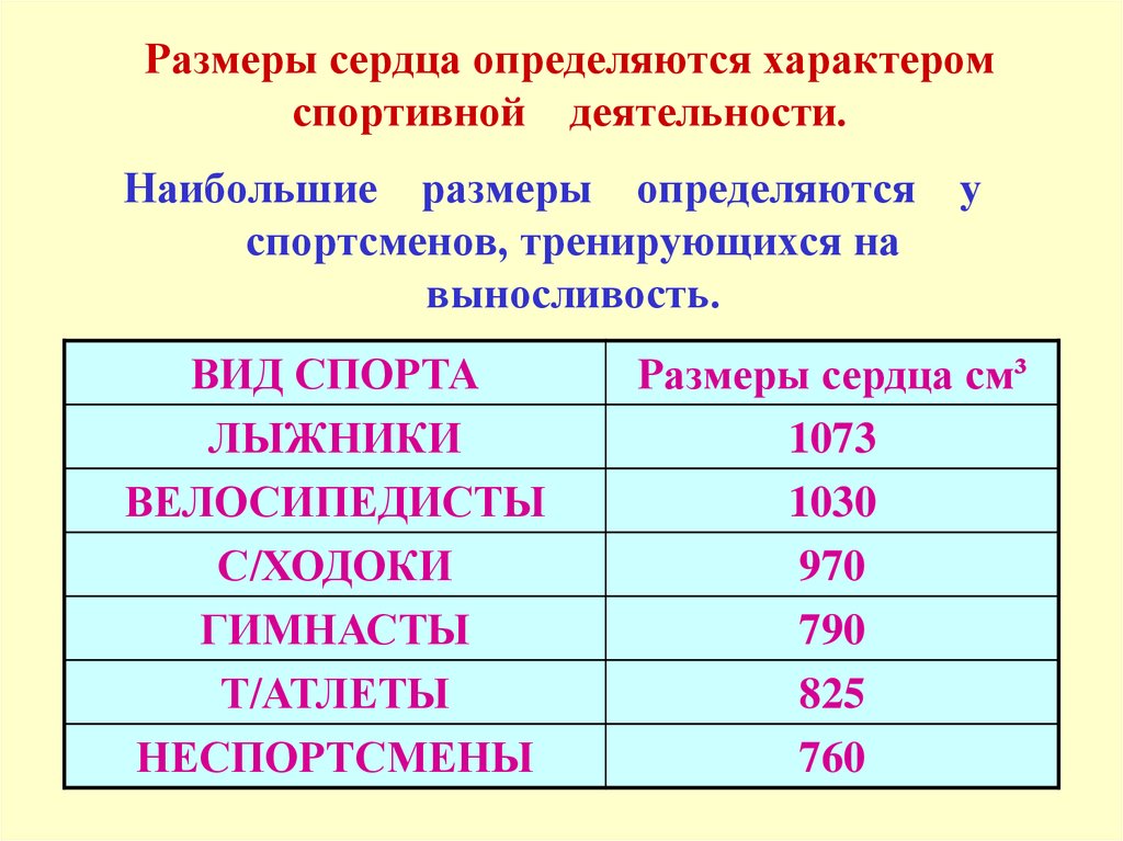 Сердечный определить. Объем сердца у спортсменов. Размеры сердца у спортсменов. Объем сердца. Объем сердца спортсмена и обычного человека.