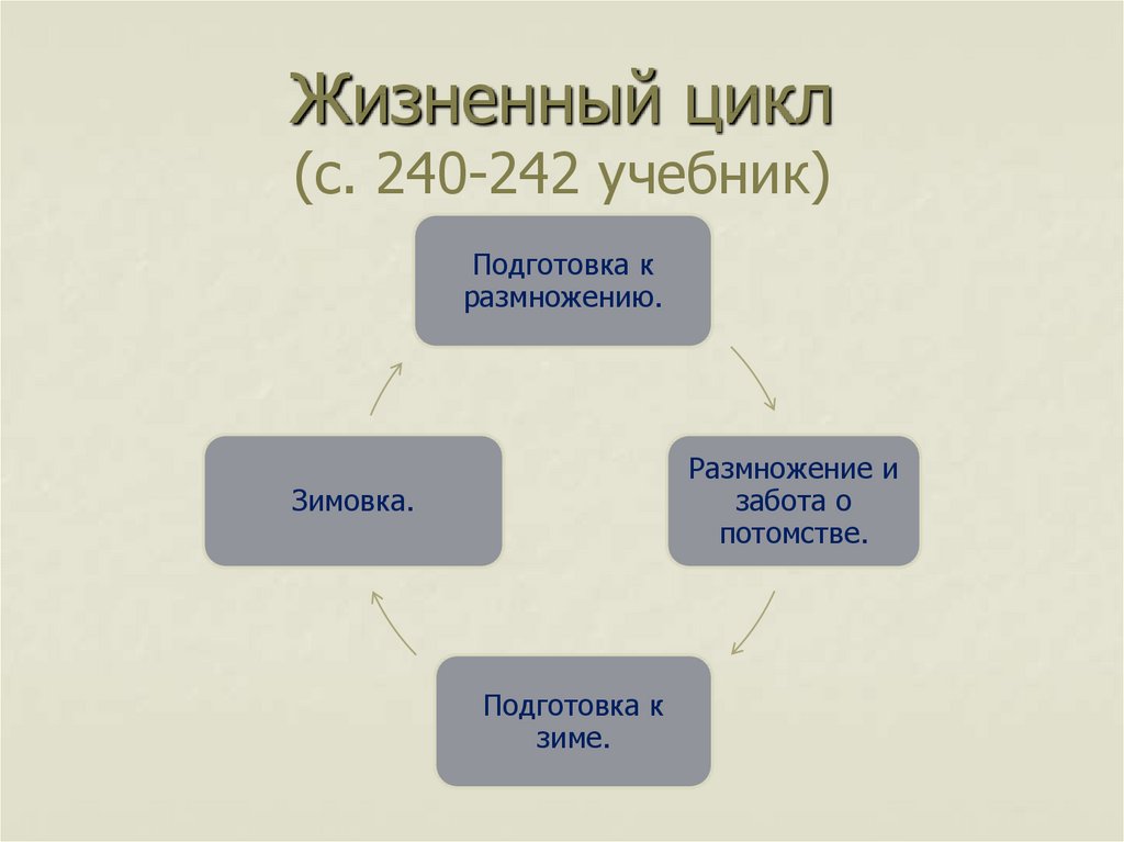 Размножение и развитие млекопитающих презентация 7 класс биология