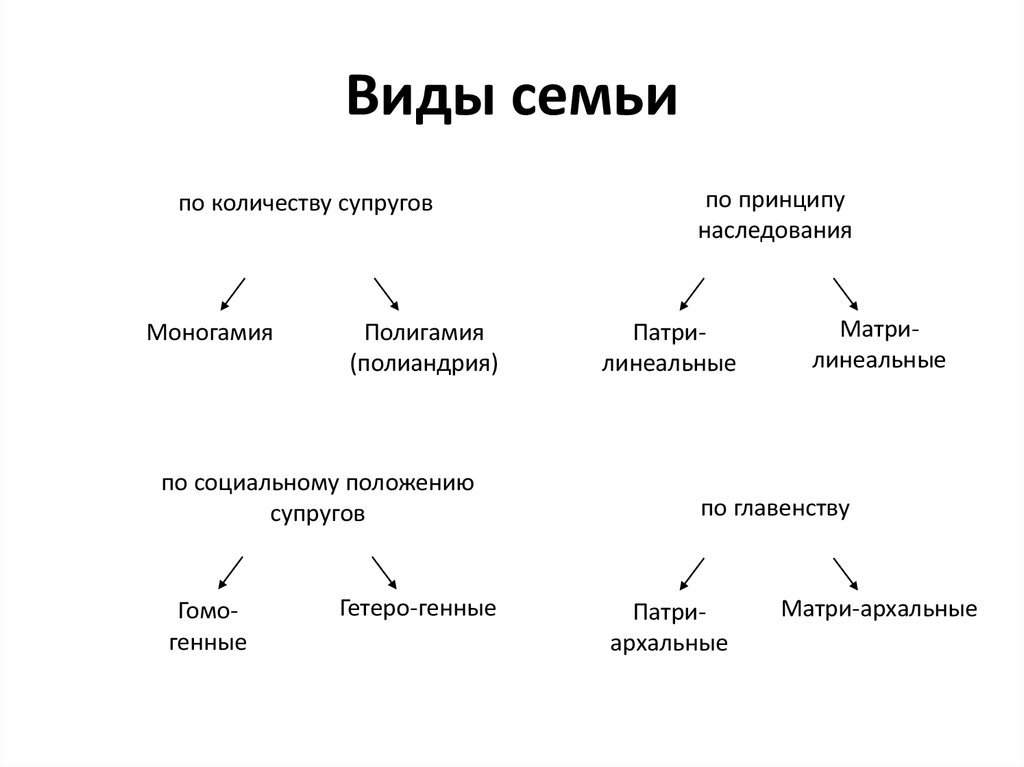 Типы семей функции семьи