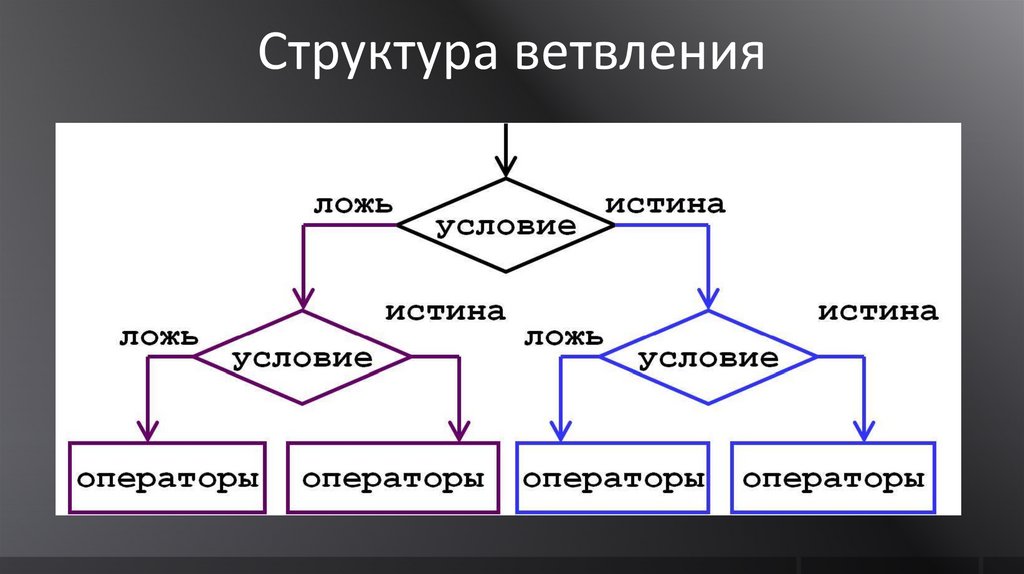 Блок схема это информационная модель истина или ложь