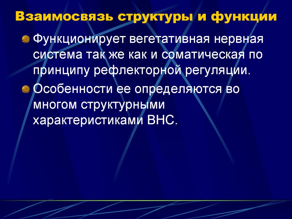 Взаимосвязанные структуры. Взаимосвязь структуры и функции. Взаимосвязь строения и функций. Взаимоотношение структуры и функции их единство.