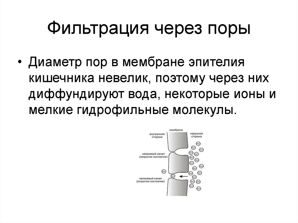 Фильтрация через. Фильтрация через поры. Фильтрация через поры мембран. Фильтрация через поры это в фармакологии. Фильтрация лекарственных веществ.