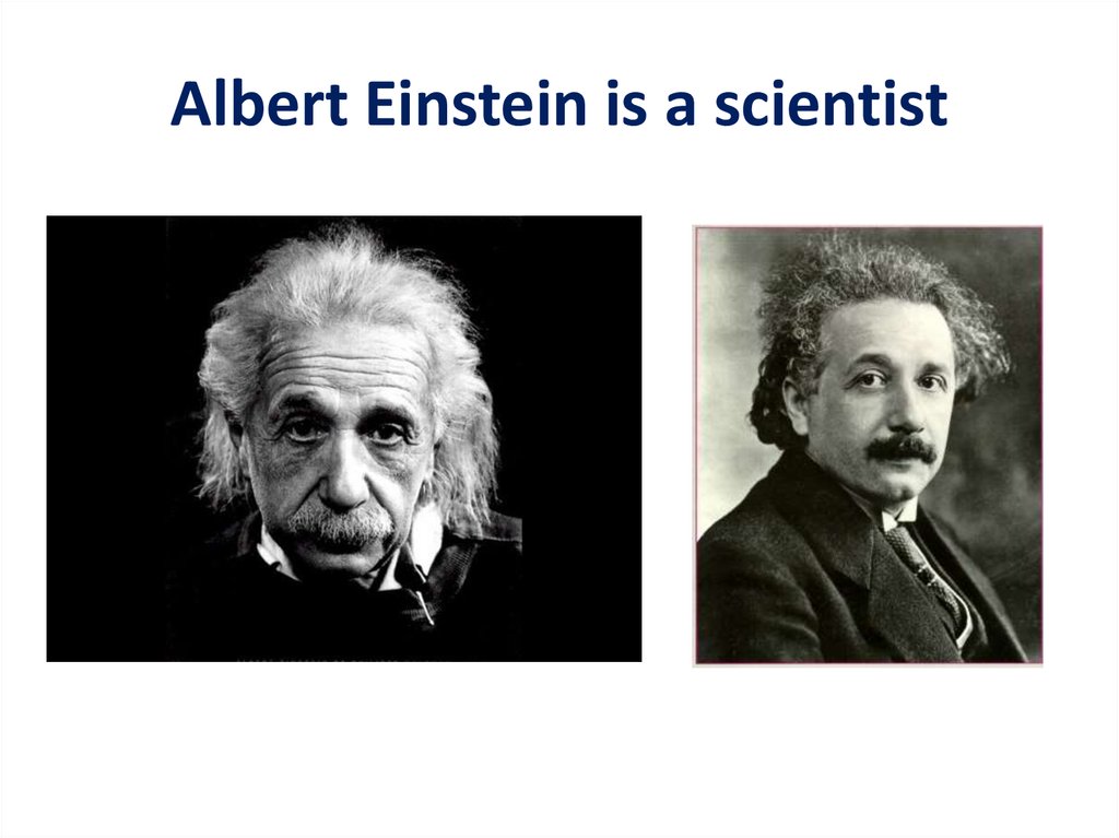 Albert Einstein is a scientist